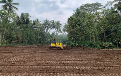 WhatsApp Image 2023-01-30 at 12.03.16 (1)