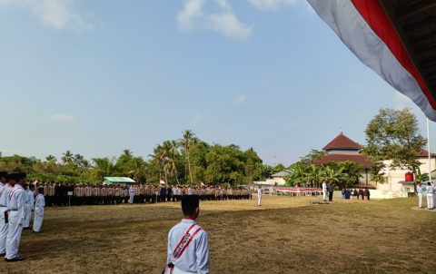 14374aa6-2ca5-4650-aa55-ad543fc3c67c